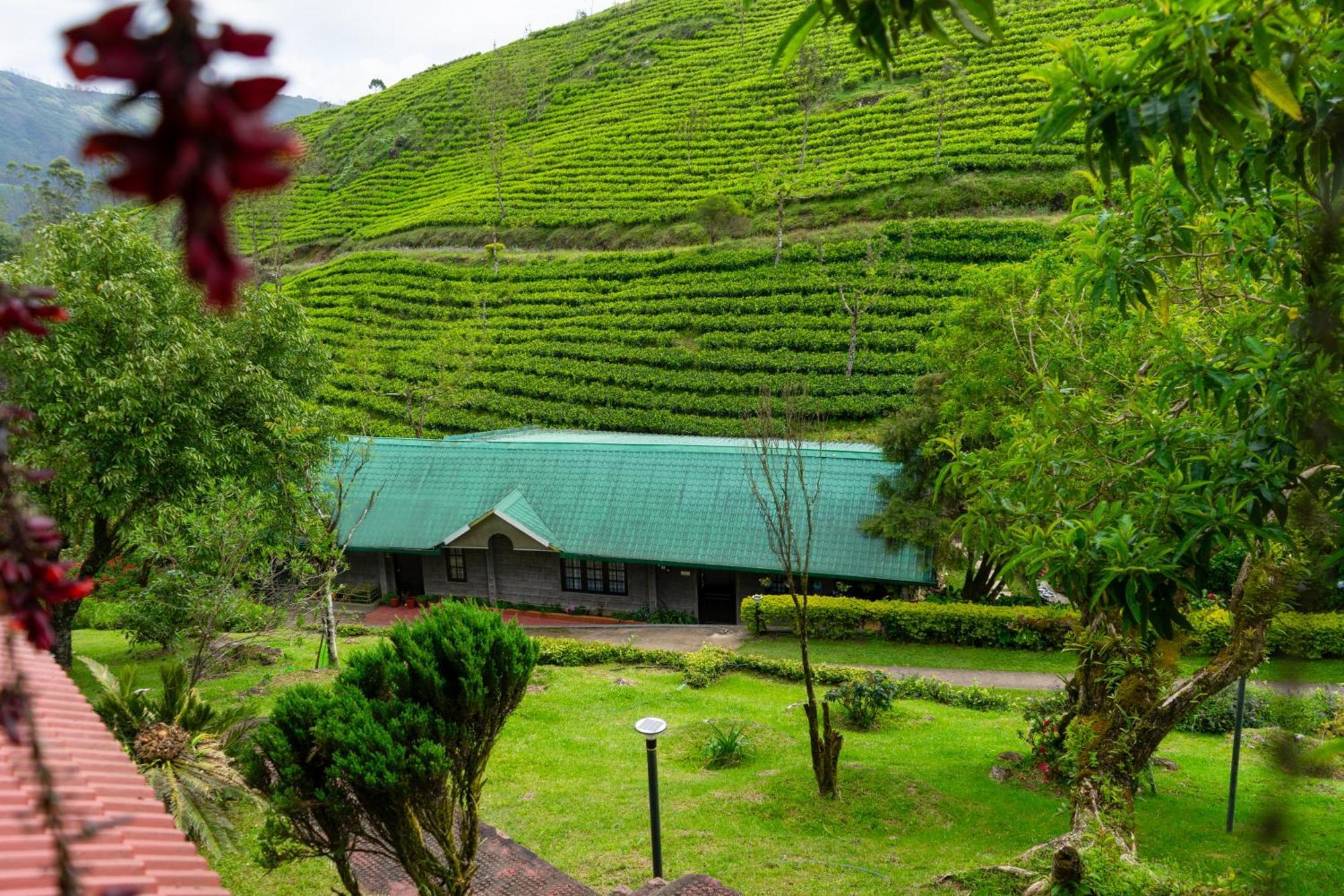 Camelot Resort Munnar Kültér fotó