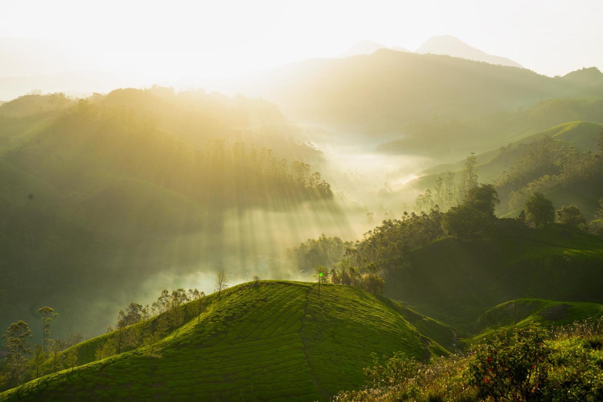 Camelot Resort Munnar Kültér fotó